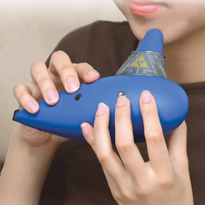 ns2-electric ocarina of time zelda